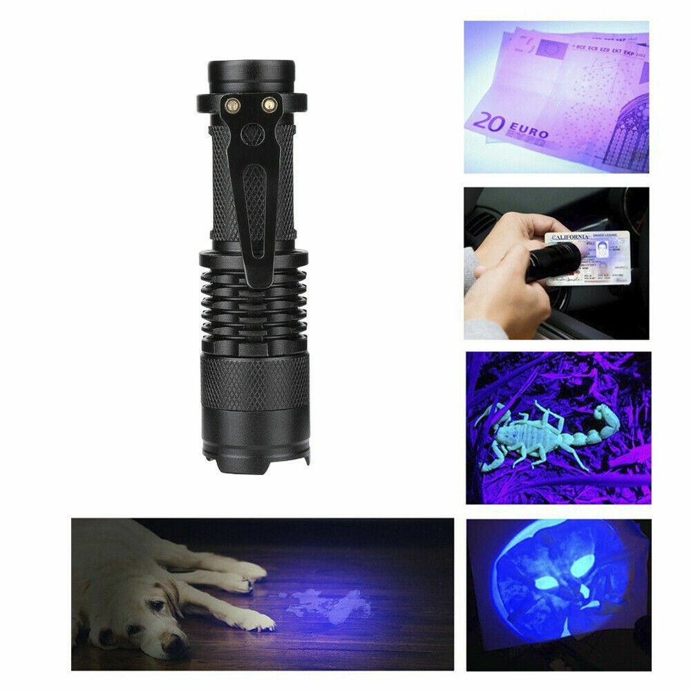 Black Light UV Flashlight - 395nm - Detects Stains & Urine - Zoomable Feature
