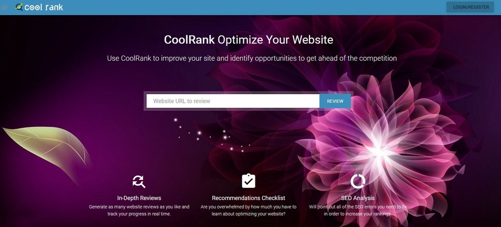 Domain & Website Analysis Website + Free Installation + Hosting