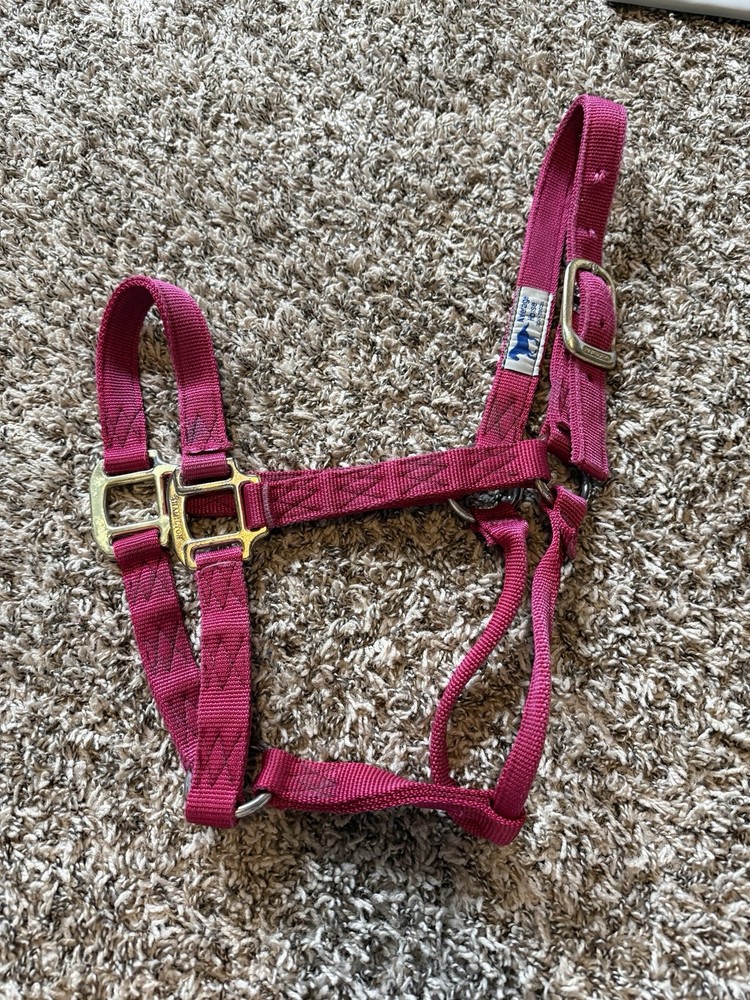 Nylon Horse Halter Medium Horse