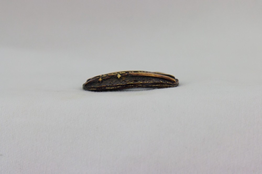 Celluloid Button, Vintage Aircraft