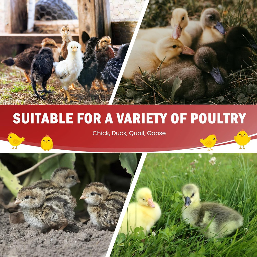 Chicken Brooder Box for Chick Starter Kit Upgrade Three-Sided Mesh Window Broode