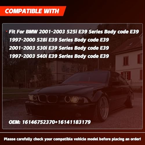 Left & Right Fuel Filter Assembly Compatible with BMW E39 Series 525i 2001