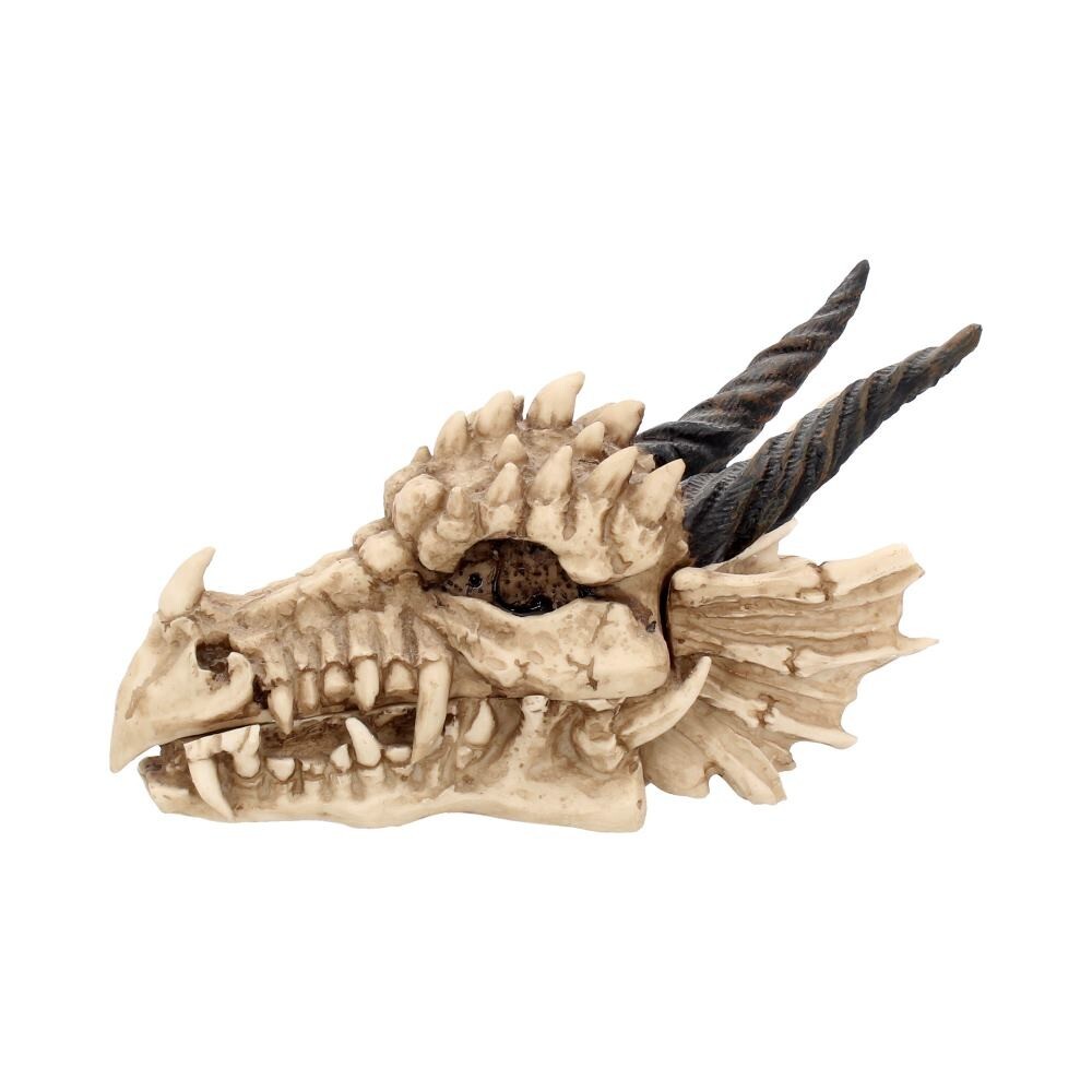 Nemesis Now Dragon Skull Box 15cm Ivory