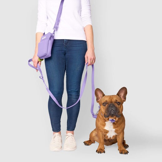 NWT - Canada Pooch WATERPROOF Leash - Lavender - SIZE: Small/Medium