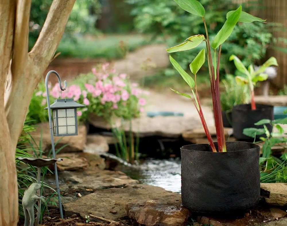 Smart Pot Pond-Pots #2 (2 gallon)