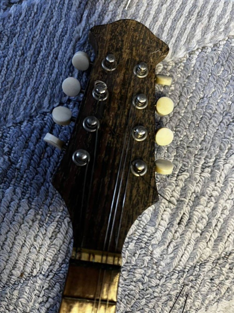 SUZUKI Mandolin