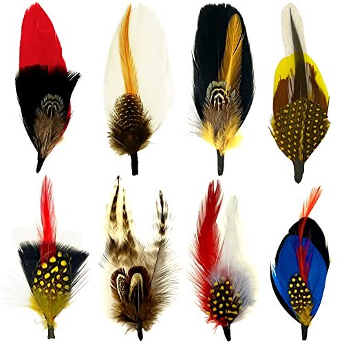 Hat Feathers, Assorted Natural Feathers Colorful Real Feathers Packs