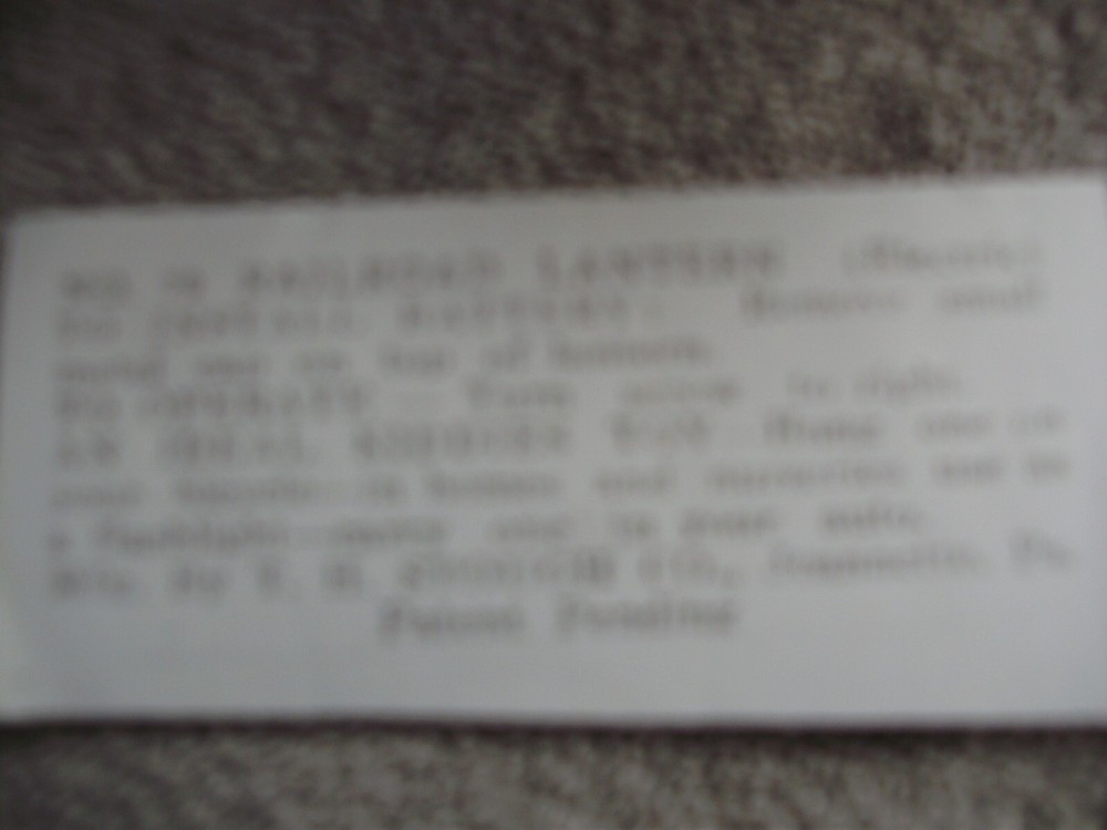 5" "STOUGH" BATTERY LANTERNS 2 EACH