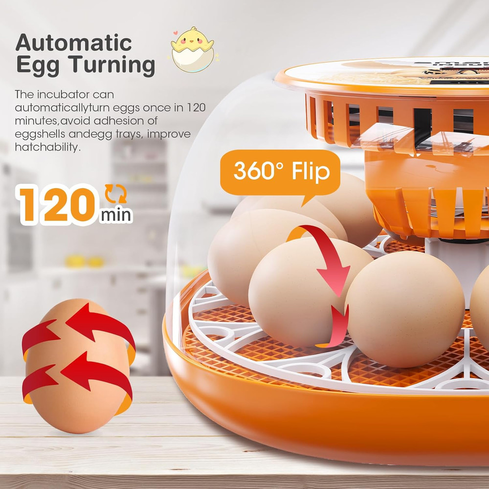 12 Egg Incubator with Automatic Egg Turning and Temperature Control, Automatic W