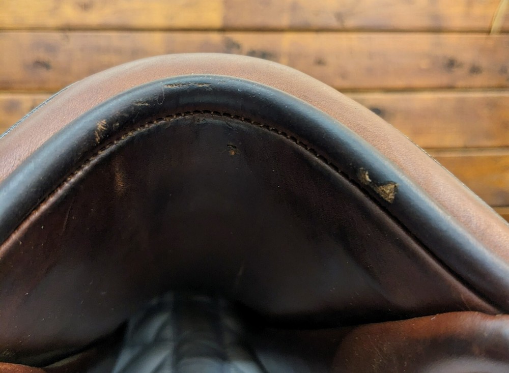 16.5" Arion J1 (2021) *ON TRIAL*