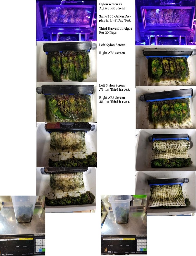 Algae Clean Scrubber Replacement ACS-TD-7 Upside Down Tear Drop Algae Screen