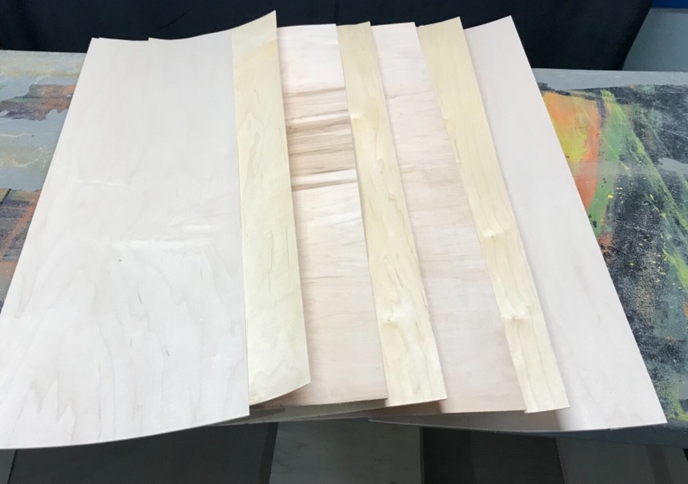 Skateboard veneer- DIY Home kit