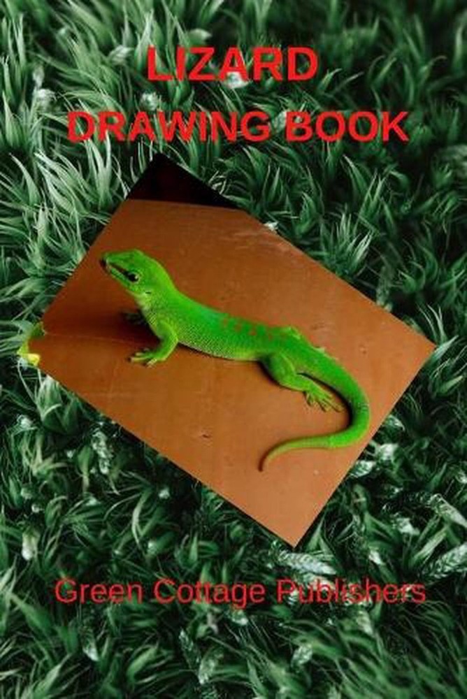 Lizard Drawing Book