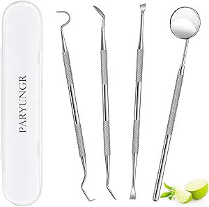 Stainless Steel Dental Tool Set