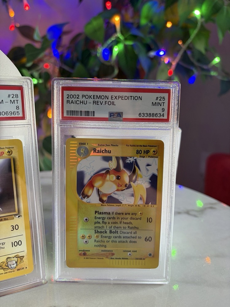 Raichu Expedition Base Set Bundle