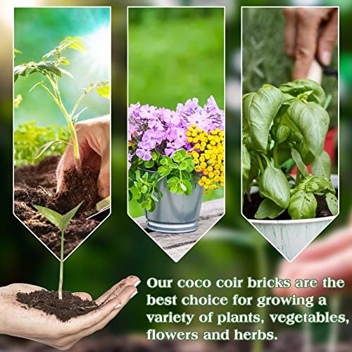 10-Pack Coco Coir Bricks, Organic Coconut Coir Soil for Plants, 10 Pack