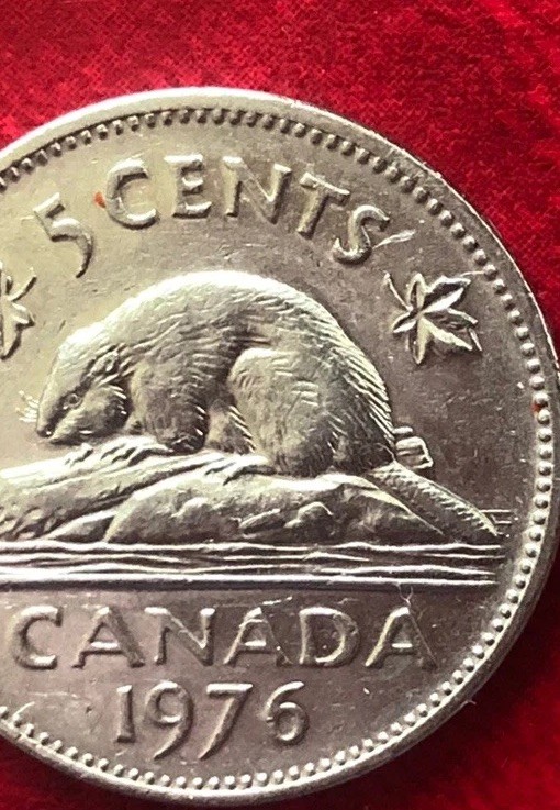 CANADA Five Cent Coins 1976