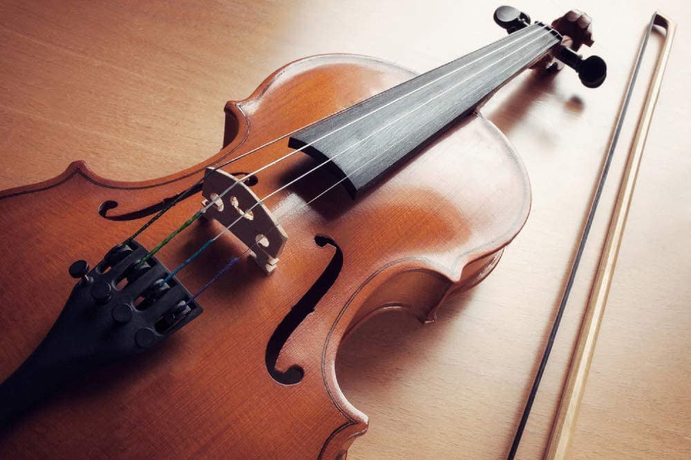 2 Sets Violin Strings Full Set (G-D-A-E), Universal Violin Strings with Nickel-P