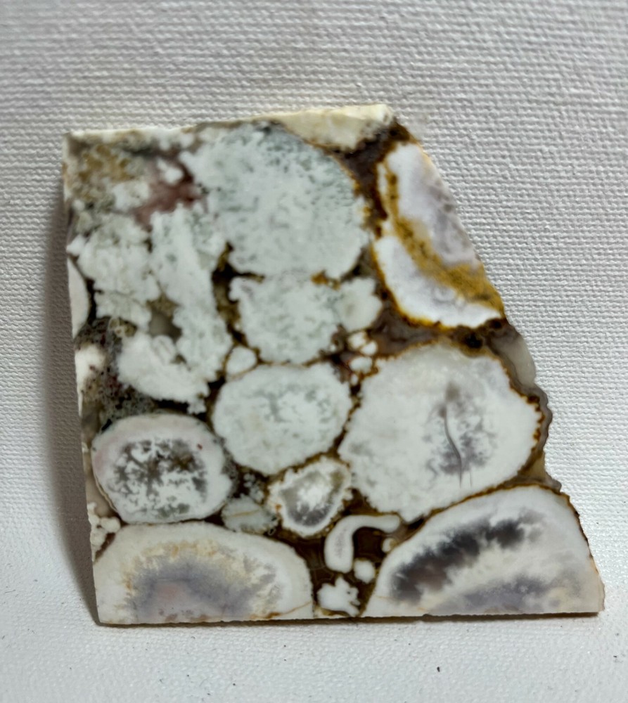 King Cobra Jasper Slab 77gm