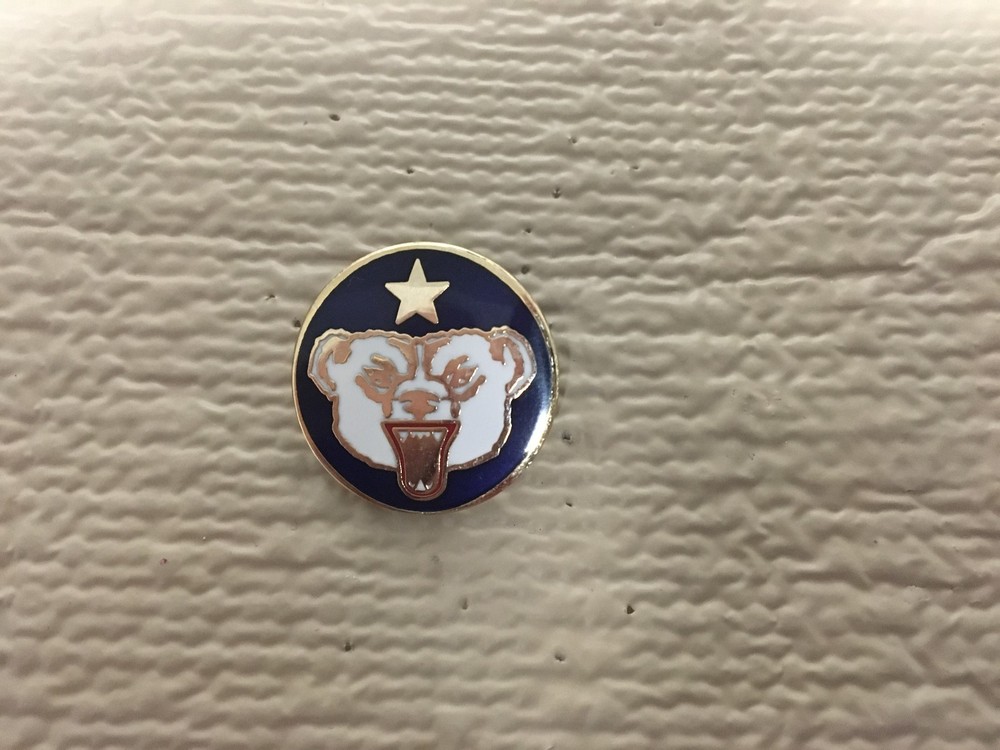 US ALASKAN DEFENSE COMMAND PIN