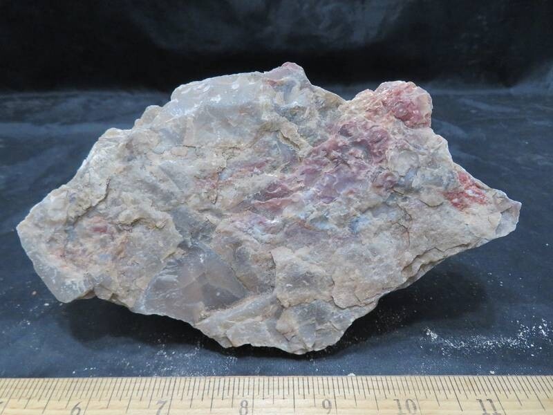Petrified Wood 2 lbs & 3 ozs