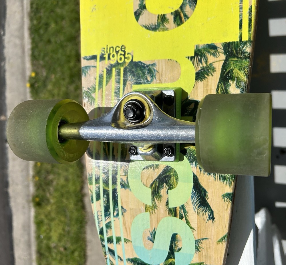 KRYPTONICS Skateboard Sun & Palm Trees 36" Complete Longboard