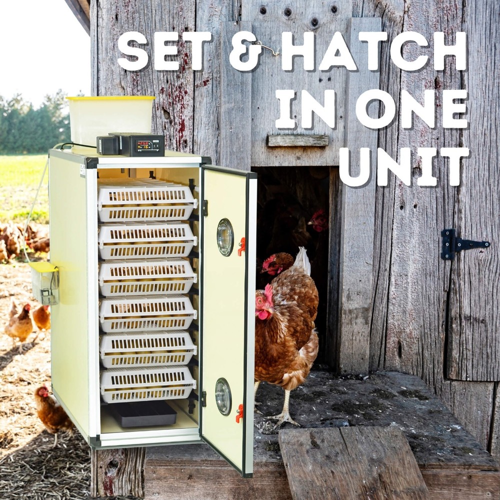 CT180 SH - Egg Incubator - Setter & Hatcher