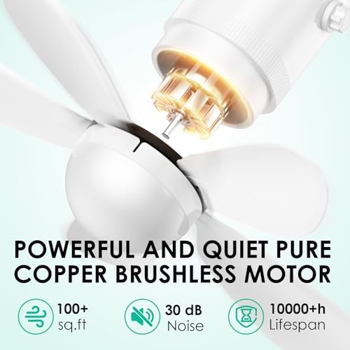 Solar Ceiling Fan Light, Foldable Solar Panel Portable Medium Ceiling Fan