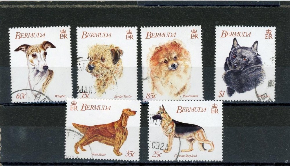 Bermuda 1992 Dogs Scott# 638-43 Canceled