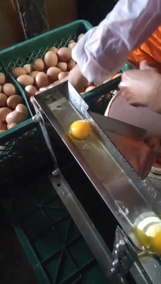 Egg Liquid Processing Equipment Egg White and Yolk Separator S304