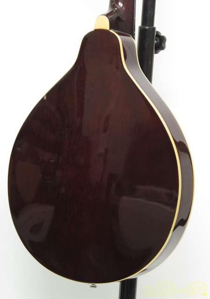 ARIA AM200E/BS Mandolin-01
