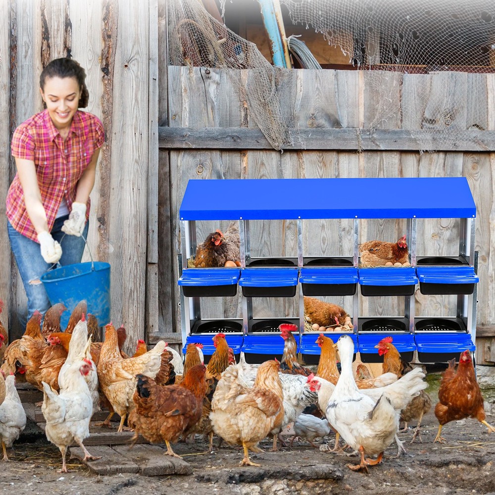 Chicken Nesting Box 10 Compartment Nesting Box Metal Nesting Boxes for Chicken