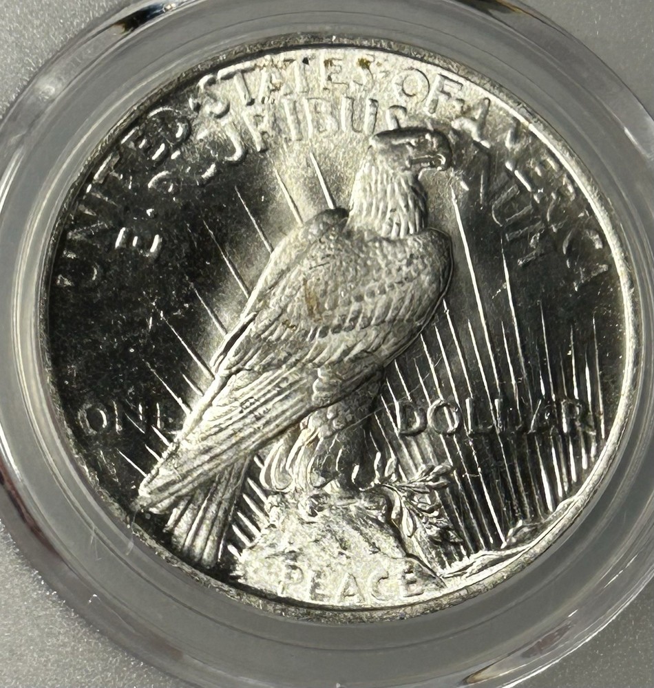1923 Peace Silver $1 PCGS MS 64 BX20-8
