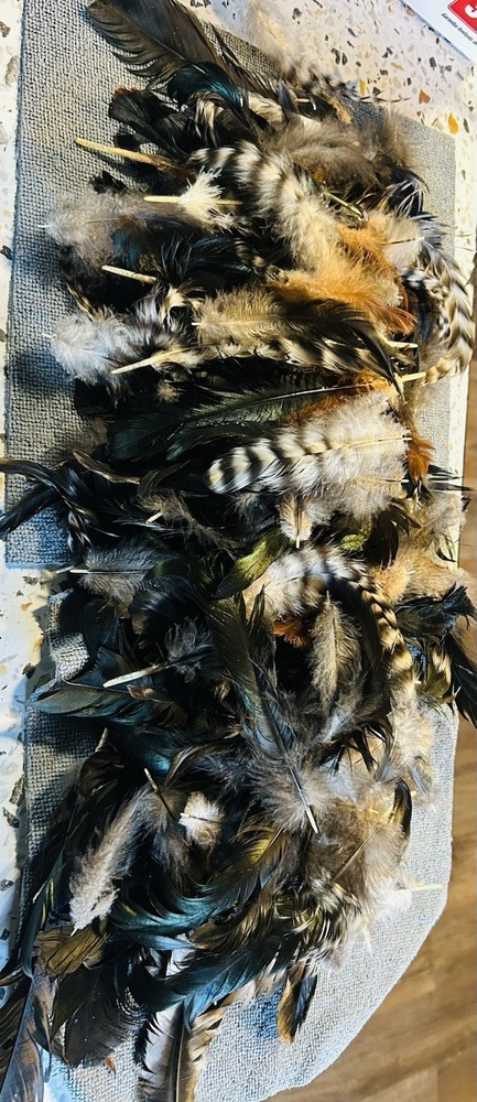 Colorful Chicken Feathers