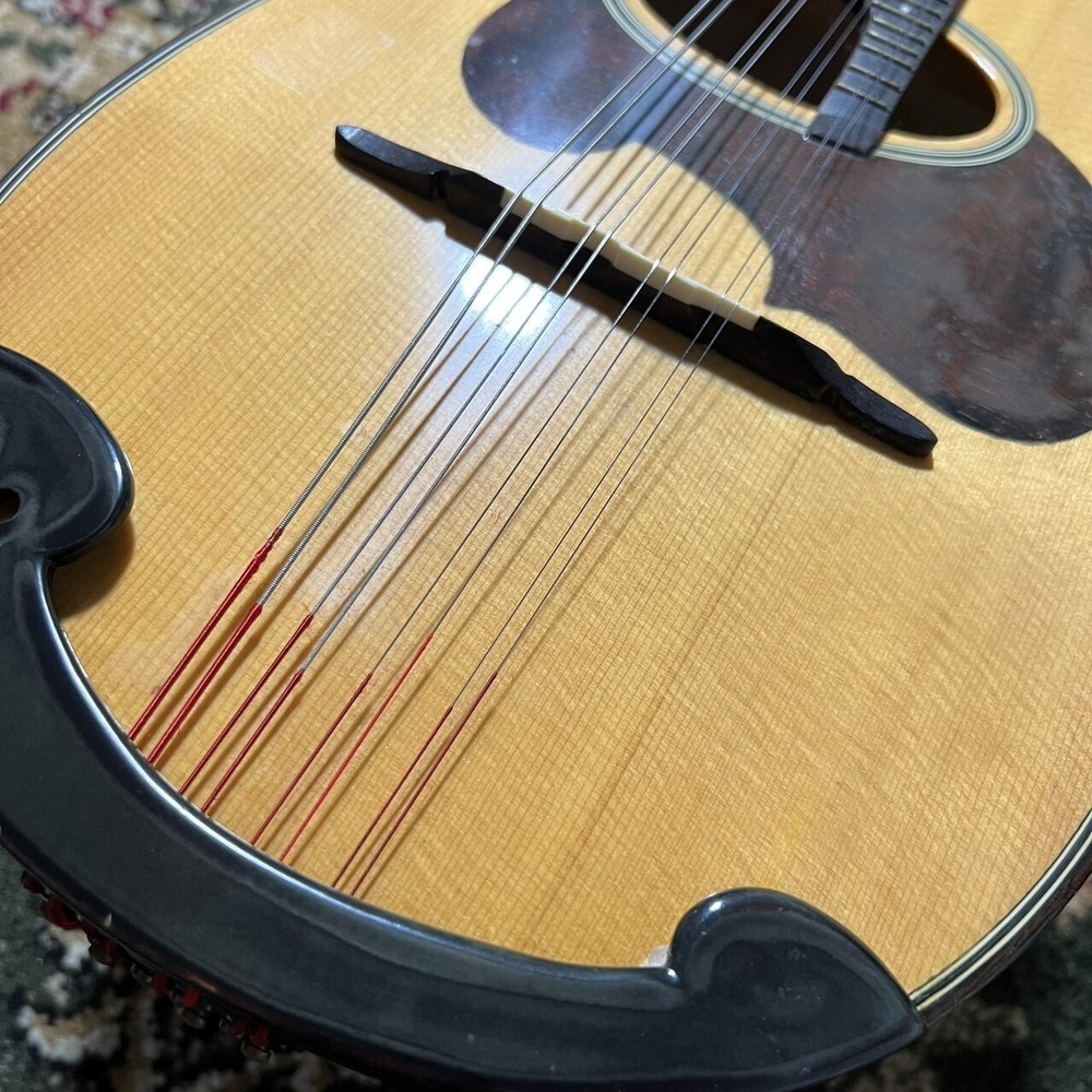 Suzuki M-30 [Mandolin]
