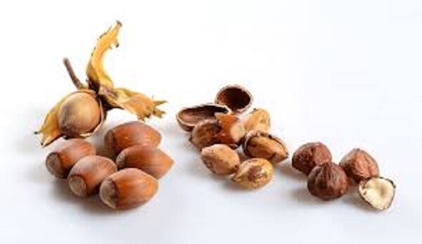 Superior Hazelnut Whole Bean 10oz Dessert Coffee Fresh Roasted Medium Bold