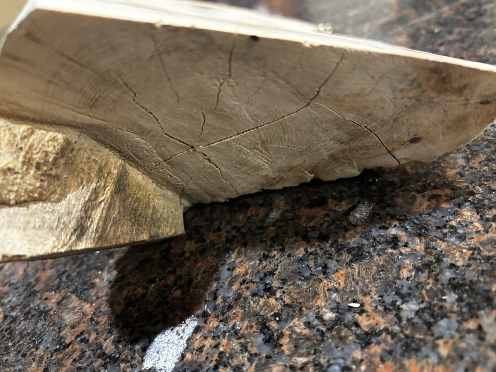 Spalted Live Edge Willow Slab 8.5”x8”x2-4”