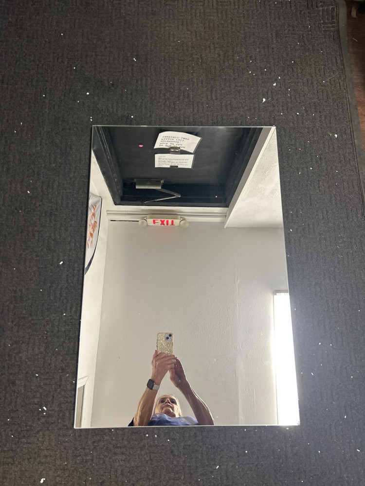 KOHLER 1202710 Mirrored Door Assembly