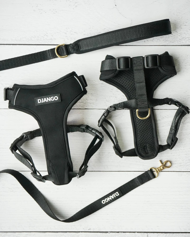 NWT Django Adventure Dog Harness