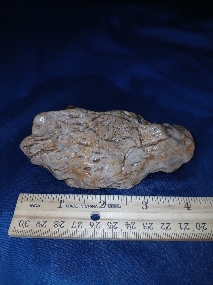 8 oz Texas Petrified Wood