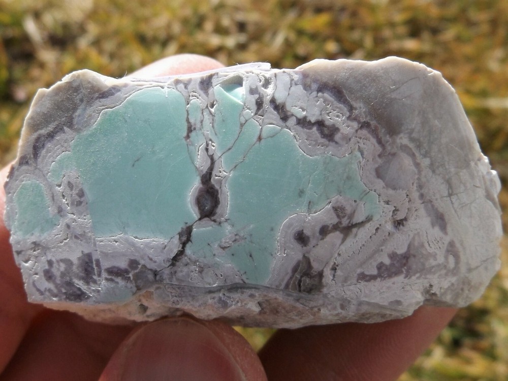 DIG-N-UTAH: VARISCITE UTAH POLISHED # L 350
