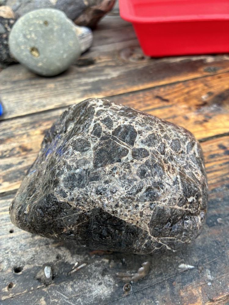 Rocks For Sale Gabbro