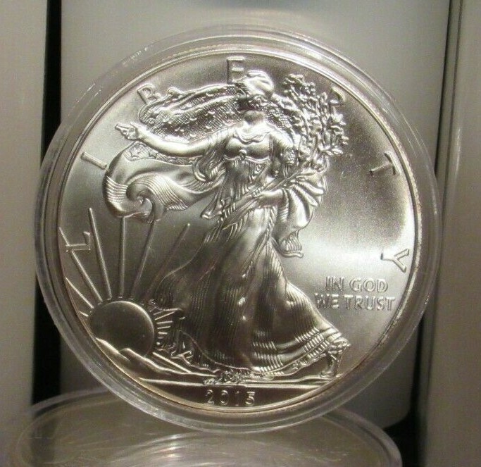 2015 AMERICAN SILVER EAGLE IN PROTECTIVE CRYSTAL DISPLAY CASE