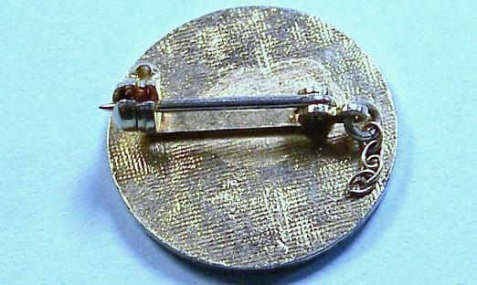 California State Electronics Association Pin