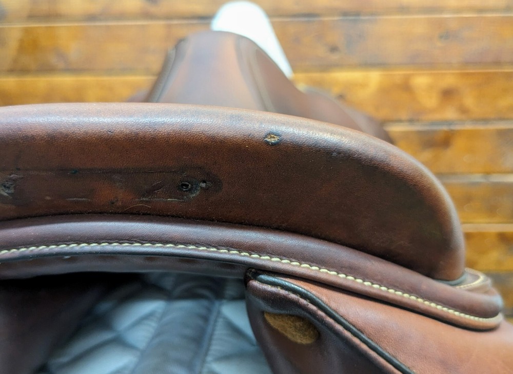 16.5" Arion J1 (2021) *ON TRIAL*