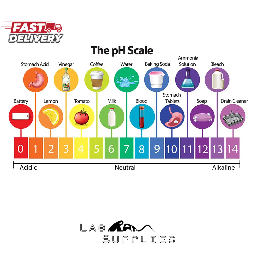 Plastic Ph Test Strips, Universal Application (Ph 0-14), 100 Strips | for Saliva