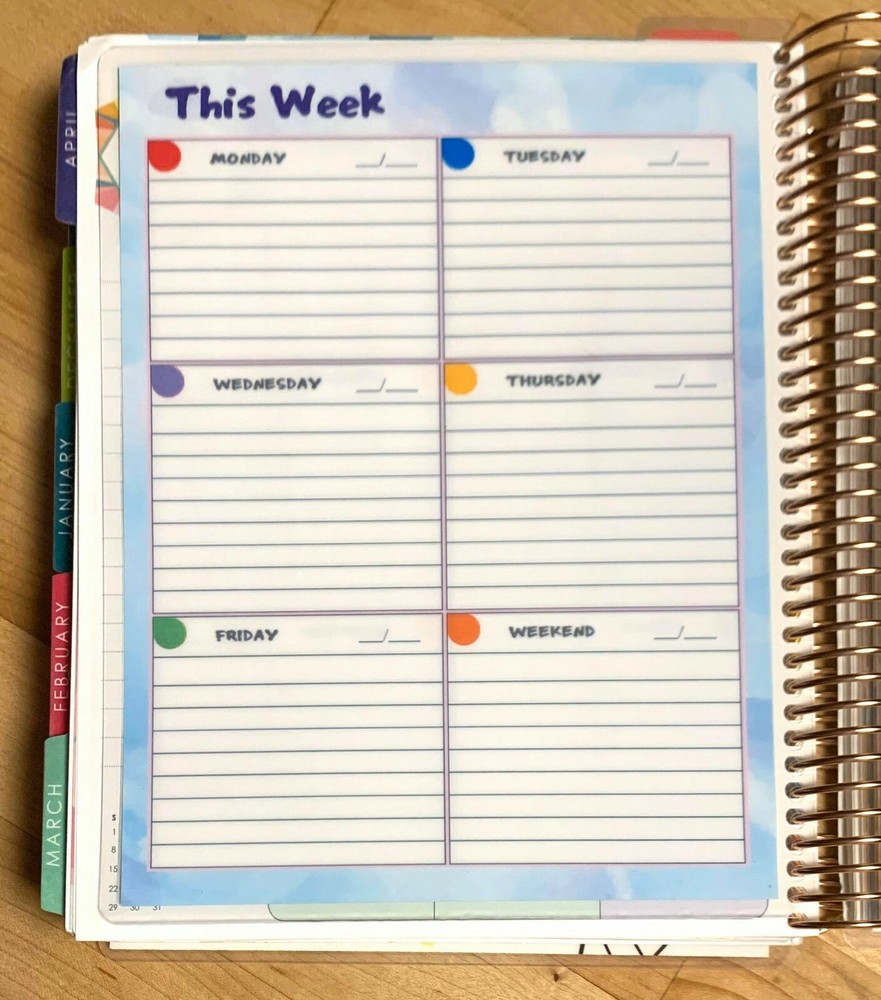 'This Week' Daily Lined Boxes Dashboard Insert 4 use with Erin Condren Planner