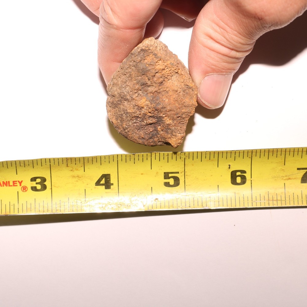 Very Nice Dinosaur Vertebrae Process Bone Fossil Hell Creek Formation Cretaceous