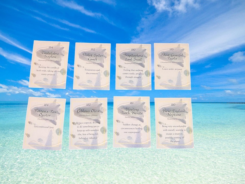 Ocean Oracle Card Deck By Michelle Hanson Seashell Divination Oracle Set
