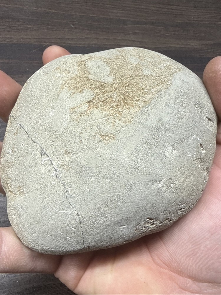 Unique Fossil Crab Ball Type Specimen